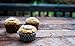 PALEO BAKING CO Paleo Banana Bread Muffin Mix, 8.9 OZ