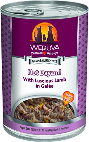 Weruva Classic Dog Food, Hot Dayam! with Lamb in Gelée, 14oz Can (Pack of 12)