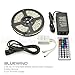 Blue Wind Led Strip Lighting 5M 16.4 Ft 5050 RGB 300leds Flexible Color Changing Full Kit with 44 Keys IR Remote Controller +Control Box+ 12v 5A Power Supply