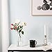 CASAMOTION Glass Vase for Flowers Hand Blown Glass Centerpiece Wedding Table Dining Room Living Kitchen Island Modern Farmhouse Home Decor Clear Cylinder 8” 10” 12” Inch Set of 3