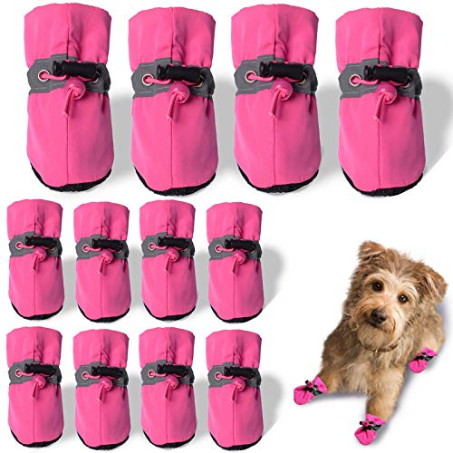 The Best Dog Booties Dogtime