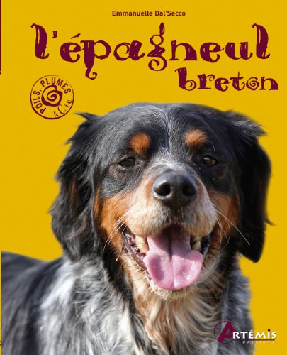 L' épagneul breton