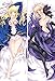 GatewayBurner GB Arts Fate/Stay Night Blue Saber & Saber Alter Dress Peach Skin 150cm x 50cm Pillowcase