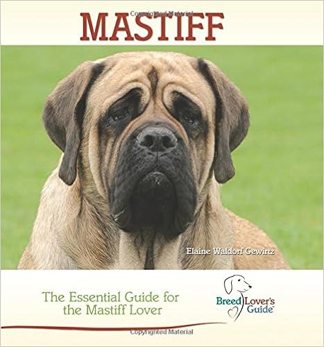 Mastiff: The Essential Guide for the Mastiff Lover (Breedlover�fs Guide)  �����O���{ - 2014/9/30