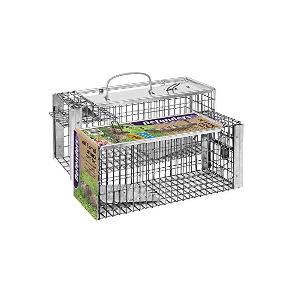 Defenders-VIC0068-Rat-and-Squirrel-Cage-Trap-Humane-Easy-to-Bait-and-Set-Long-Lasting-Galvanised-Mesh-Silver Defenders Rat and Squirrel Cage Trap (Humane, Easy to Bait and Set, Long-Lasting Galvanised Mesh), Silver, STV088, One…