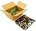 Toxic Waste Ultra Sour Candy 2 Pounds of Candy
