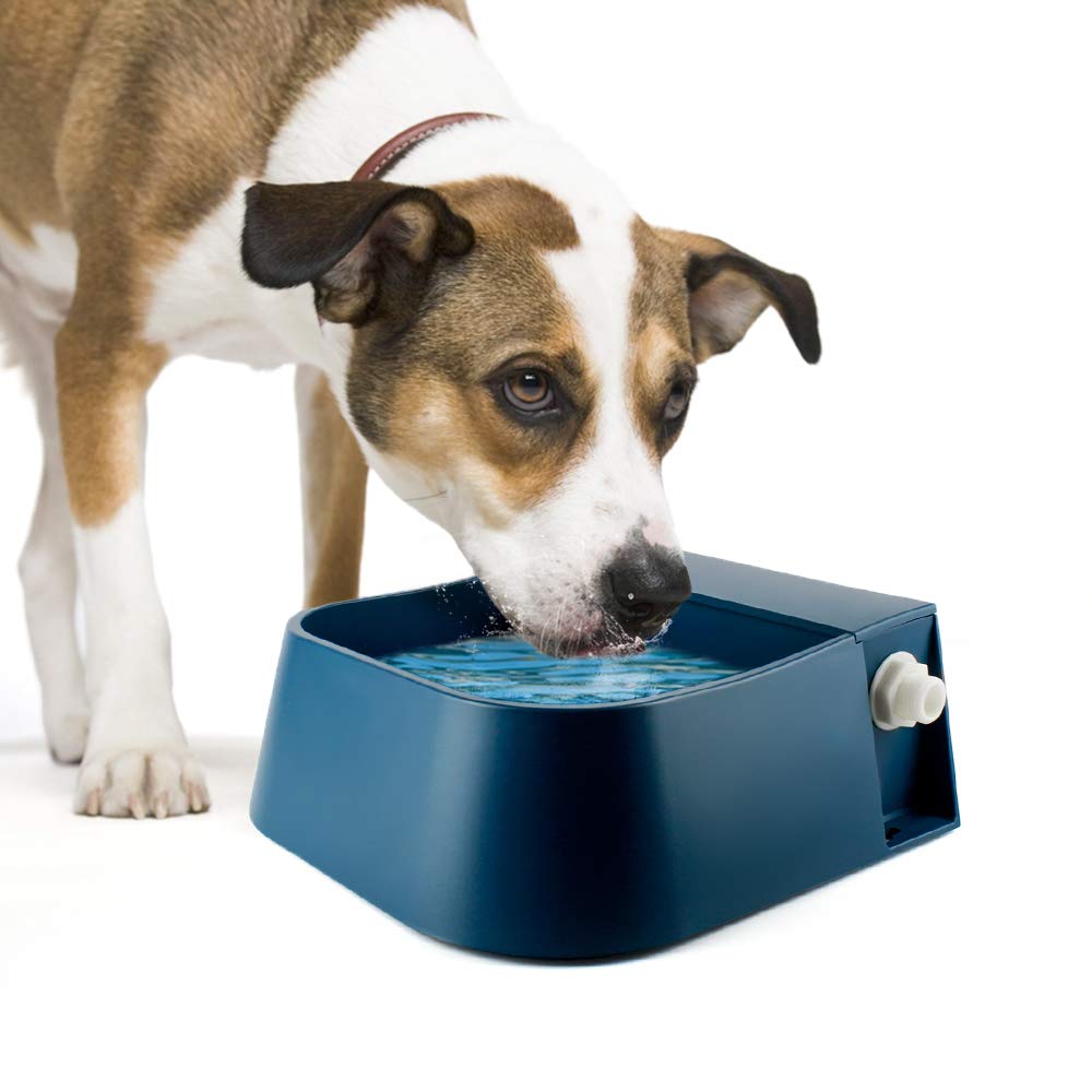 Namsan Automatic Dog Water Bowl with Float Valve 2L Pet Water Trough Water Feeder Anti-Splash Anti-Overflow Float Bowl for Dog Cat Sheep Chickens
