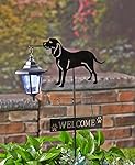Solar Dog Breed Lantern Stake Beagle