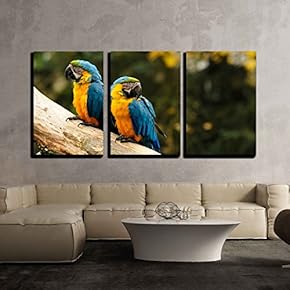 3 Piece Canvas Wall Art - Two Parrots Sitting on a Bole - Modern Home Art Stretched and Framed Ready to Hang - 16"x24"x3 Panels