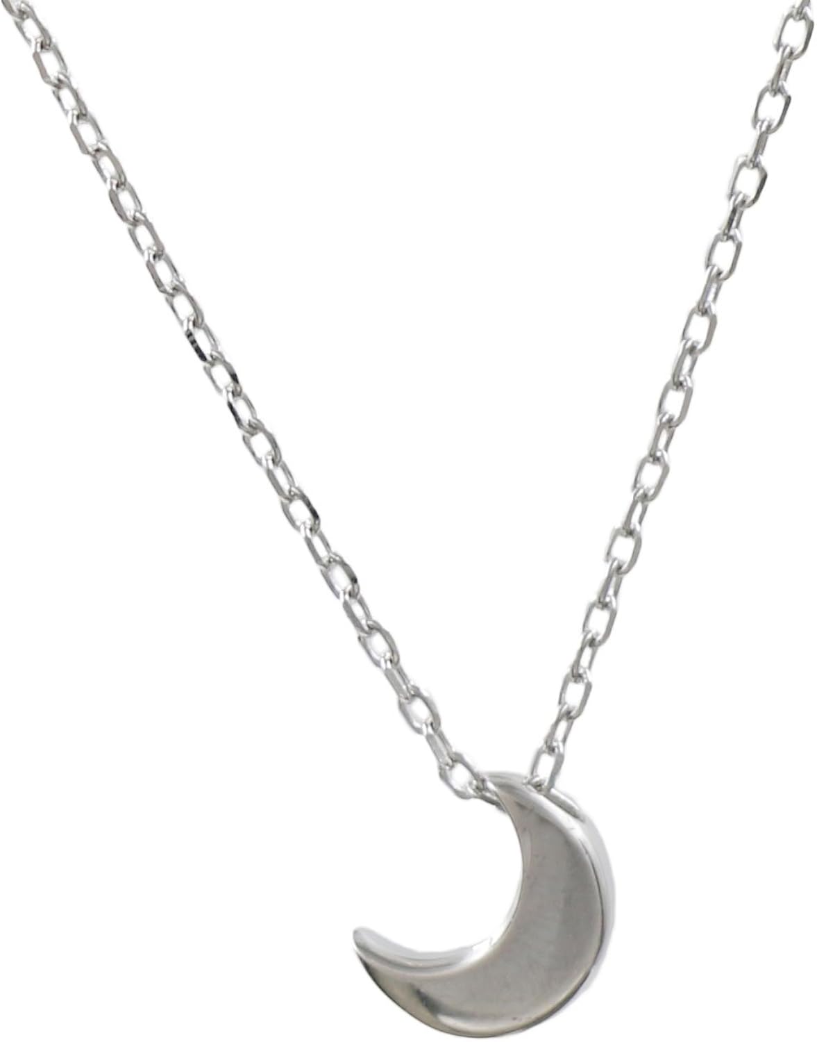Collana Con Ciondolo Cane In Argento Sterling 925 - Per Ceneri, Ricordo Animale, Regalo Commemorativo