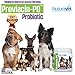 NuturaVet Proviacin-PD Probiotics for Dogs for Active Digestive System, Overall Wellness, Stronger Immune System- Yeast Infections– Powder Supplement: 180 Servings 8oz-GMP Approved-Made in USA