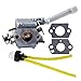 HIPA 308054079 Carburetor with Choke Lever + Mounting Gasket for Ryobi RY08420 RY08420A Backpack Blower