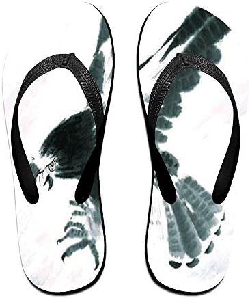 Tisky Men's Sandals Light Weight Shock Proof Slippers Flip-Flops Ink Paint Bald Eagle Hawk Lap