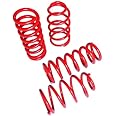Touring Tech Performance Lowering Springs Compatible for 05+ Mustang 1.6" F/2.0" R