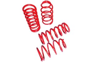 Touring Tech Performance Lowering Springs (05-14 Mustang)
