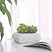 7 Inch Square Cement Succulent Plant Pot Rustic Cactus Planter Decorative Bowl, Off-White