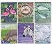 2019 Desktop Flip Calendar - Monthly Standing Desk Calendar, Safari Animals Critter Collection Design, Easel Style Top Spiral Bound, 6 x 3 x 7.8 Inches