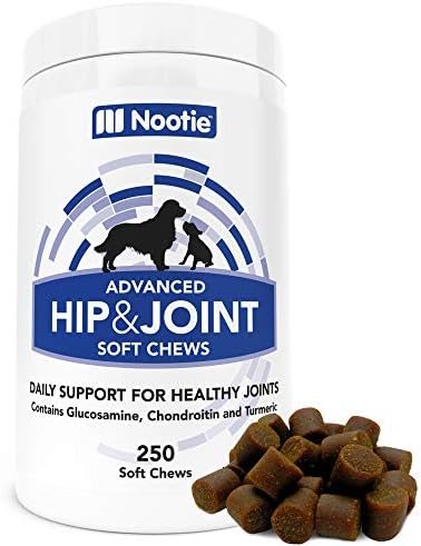Glucosamine Chondroitin for Dogs – 250 Training Size Dog Treats – Daily Chewable Dog Glucosamine with Turmeric – MSM – Hip and Joint Soft Chews 250 ct -2 Month Supply – All Breeds and Sizes USA