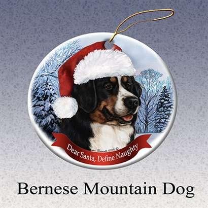 bernese mountain dog hat