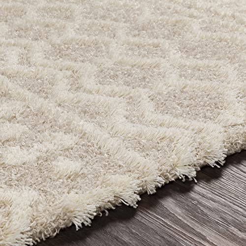 Artistic Weavers Hapsburg Moroccan Shag Area Rug, 7'10" x 10'2", Beige