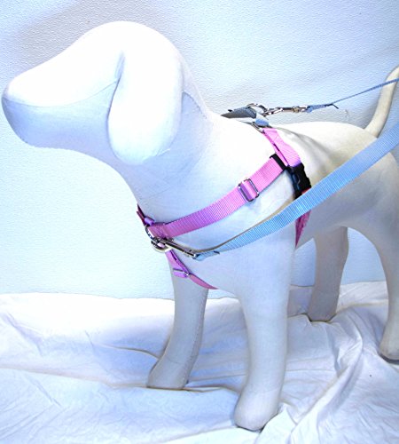 Freedom No-Pull Harness AND 4-Configuration Training Leash Package ( 1" Wide Large ( LG ) Rose Pink w/ Silver Loop)