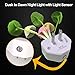 [2 Pack] UTLK Plug in LED Mushroom Night Light Lamp with Dusk to Dawn Sensor, Cut Color Changing Bed Nightlight LED Wall Light