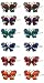 Dozen Pack - 12 Crystal Butterfly Barrettes LPW86250-3-D