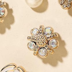 Ziigole 20Pcs Bling Shoe Charms for Clog Sandals