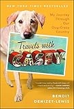 Travels With Casey by Benoit Denizet-Lewis