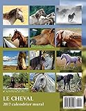 Image de Le Cheval 2017 Calendrier Mural (Edition France) (French Edition)