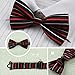 DBF0170 Multiple Colors Patterned Handsome Goods Poly Bow Ties Cheap Gift 5 Pre-tied Bow Ties Set By Dan Smith