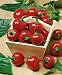 Large Red Cherry Hot, Hot Pepper Seeds - Capsicum Annuum - 1 Grams - Approx 180 Gardening Seeds - Vegetable Garden Seed