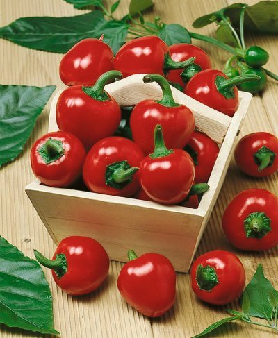 Large Red Cherry Hot, Hot Pepper Seeds - Capsicum Annuum - 1 Grams - Approx 180 Gardening Seeds - Vegetable Garden Seed
