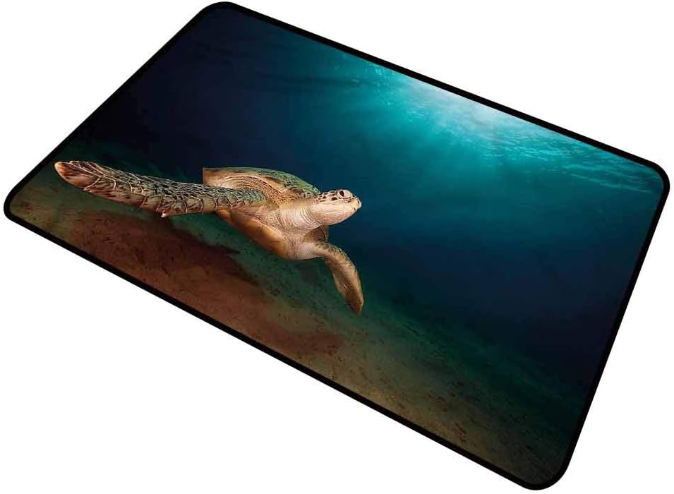 Doormat Dog Turtle Home Plate Doormat Green Turtle Sunbeam Rectangle 15"x24"