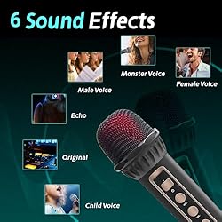 Fansbe Tech Portable Karaoke Machine 2