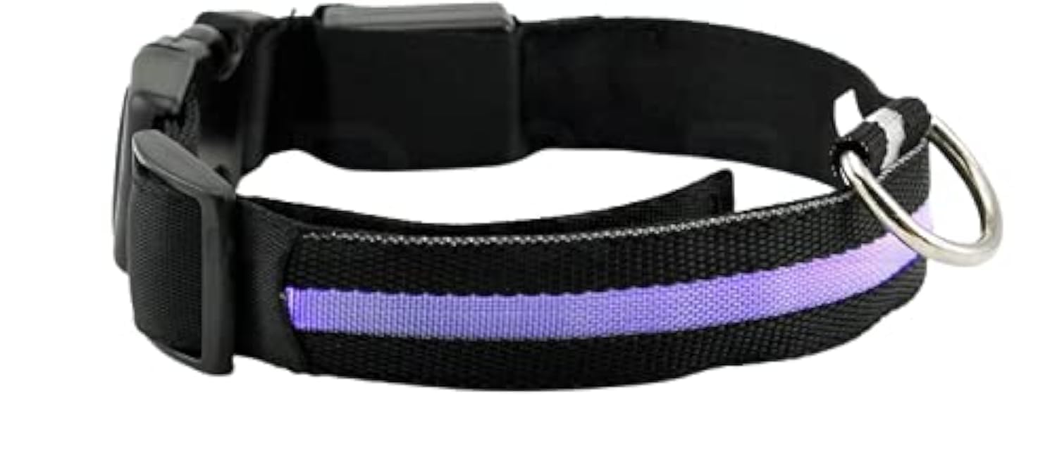 UK SELLER ! Improved Dog Visibility & Safety USB Rechargeable LED Dog Safety Collar. Ultra-Bright LED's. Connects to Devices. Dog will be more Visible & Safe (BLACK SIZE MEDIUM)