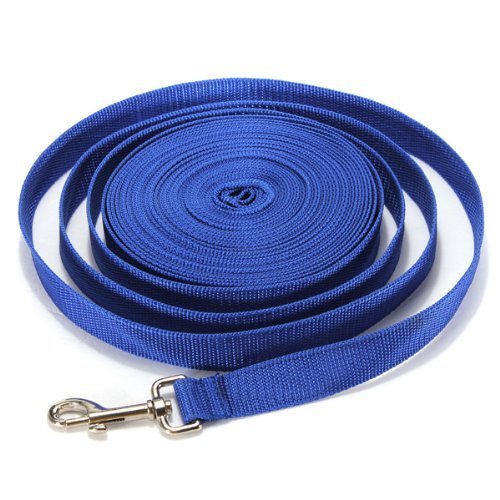 Dog Puppy Pet Puppy Training Obedience Lead Leash Recall Strong Durable Nylon Lead or Walk Traction Rope (40Feet/12M, Blue)