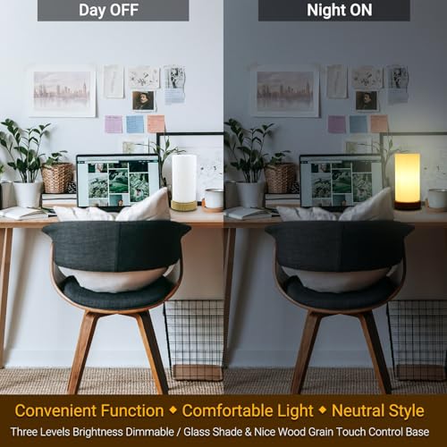 HSLighting Bedside Lamps, Touch Control Glass Table Lamp 3-Way Dimmable Wooden Grained Base Small Touch Lamps Bedside Minimalist Nightstand for Christmas Living Room Bedroom Decor Gift, Include Bulb