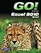 GO! with Microsoft Excel Brief by 