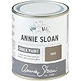 Annie Sloan Chalk Paint® for furniture with no sanding or priming (Coco, 500 ml/16.9 Fl Oz)