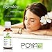Peppermint Essential Oil 30 ml (1 fl. Oz.) - GCMS Tested, 100% Pure and Undiluted