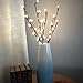 BABALI Lighted Artificial Branches 20 Inches 48 Led Battery Operated Decorative Branches Willow Lighting Twig Branch Lights Warm White Crafts with Timer