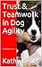 Trust & Teamwork in Dog Agility