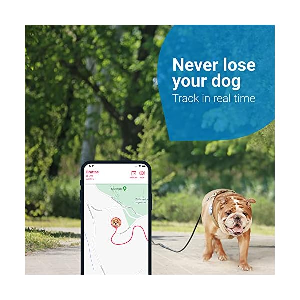 Tractive-GPS-Dog-Tracker-2021-for-Dog-Collar-Always-Know-where-your-Dog-is-247-Location-and-Activity-Monitoring Tractive GPS Dog Tracker. Live Location With Unlimited Range. Escape Alerts & 100% Waterproof (White)