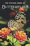 The Picture Book of Butterflies: A Gift Book for Alzheimer's Patients and Seniors with Dementia by Sunny Street Books
