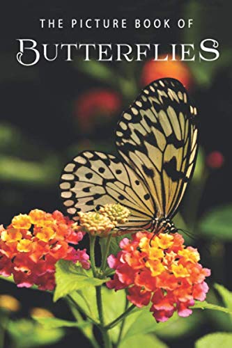 The Picture Book of Butterflies: A Gift Book for Alzheimer's Patients and Seniors with Dementia by Sunny Street Books