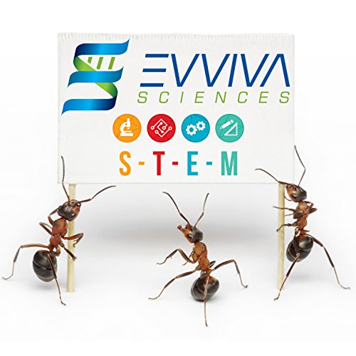 Ant Farm W/ LED Light. Enjoy A Magnificent Ecosystem. Great For Kids & Adults. The Best Ant Habitat W/ Enhanced Blue Gel. Evviva Educational & Learning Science Kits. Live Harvester Ants Not Included