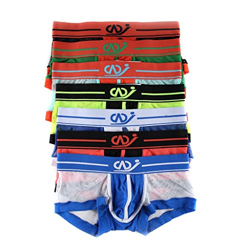 SILKWORLD Men's Underwear Sexy Mesh Breathable Boxer Brief Pack Of 7