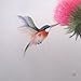 King Silk Art 100% Handmade Embroidery Framed Red Necked Hummingbird & Pink Flower Oriental Wall Hanging Art Asian Decoration Tapestry Artwork Picture Gifts 31031WFB1