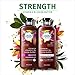 Herbal Essences Biorenew Vitamin E & Cocoa Butter Strength Shampoo, 13.5 FL OZ